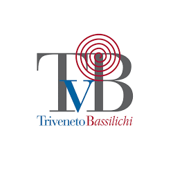 POS Virtuale Consorzio Triveneto - TVB - Completo modulo PrestaShop